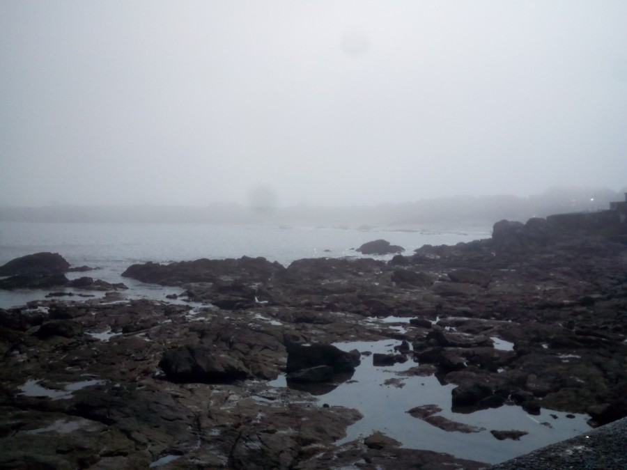 Manta de niebla