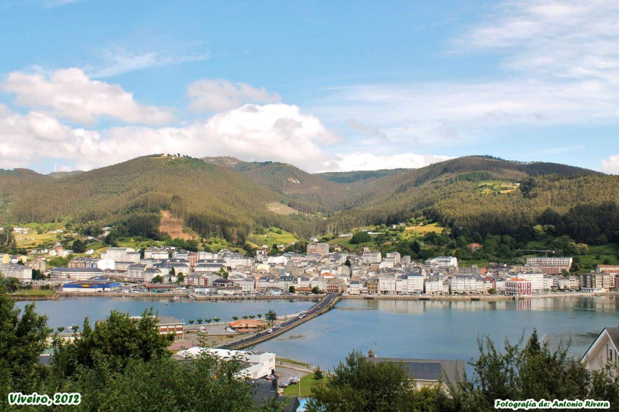 VIVEIRO