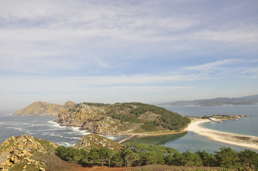 Cies