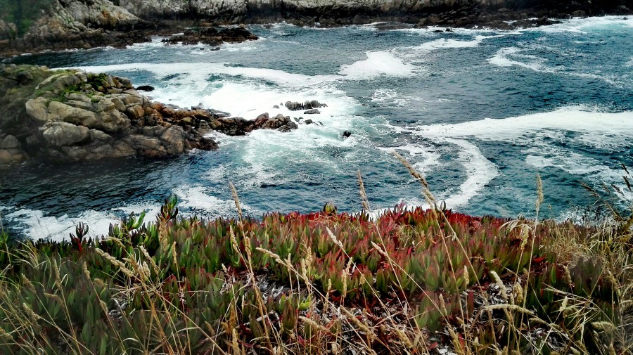 A Coruña