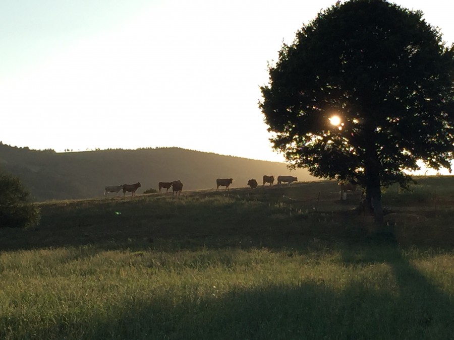 ATARDECER EN BALEIRA