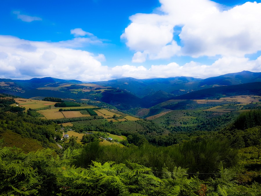 Paisajes de ensueño