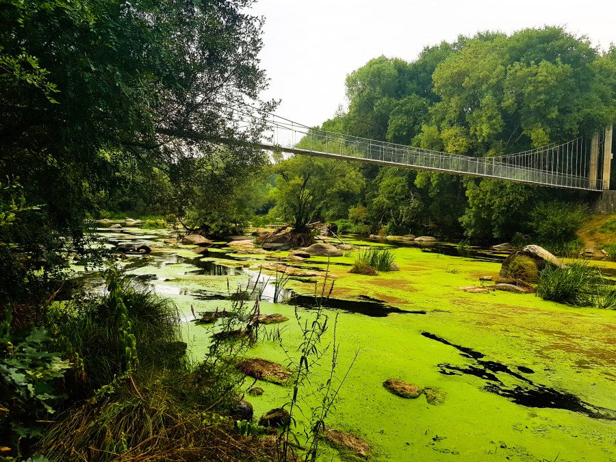 El puente colgante maravilloso