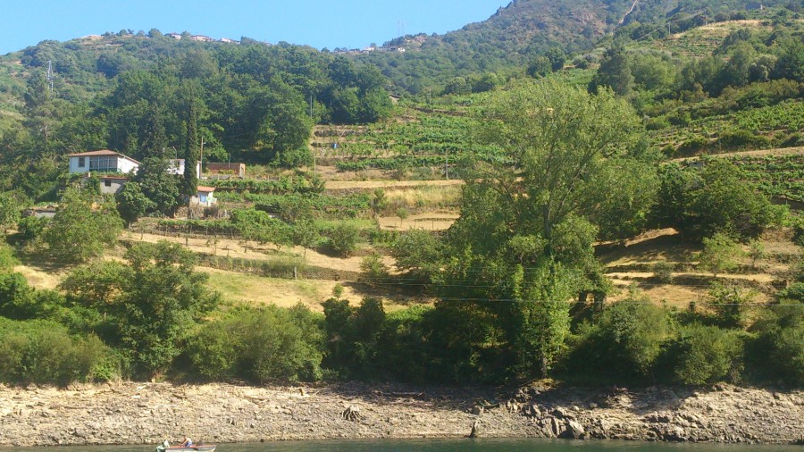 Ribeira Sacra