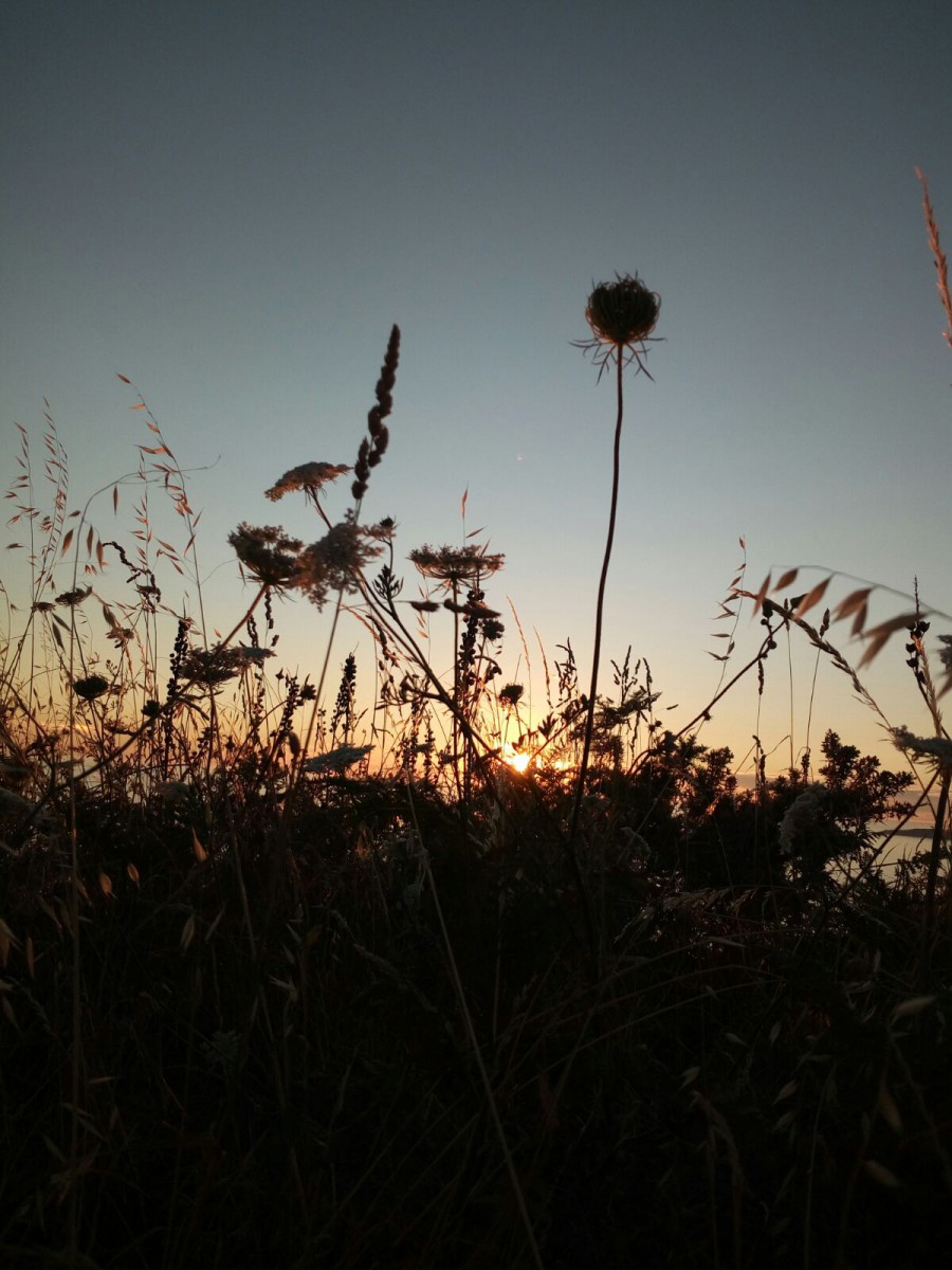 Luces e sombras