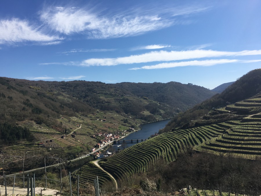 Ribeira Sacra