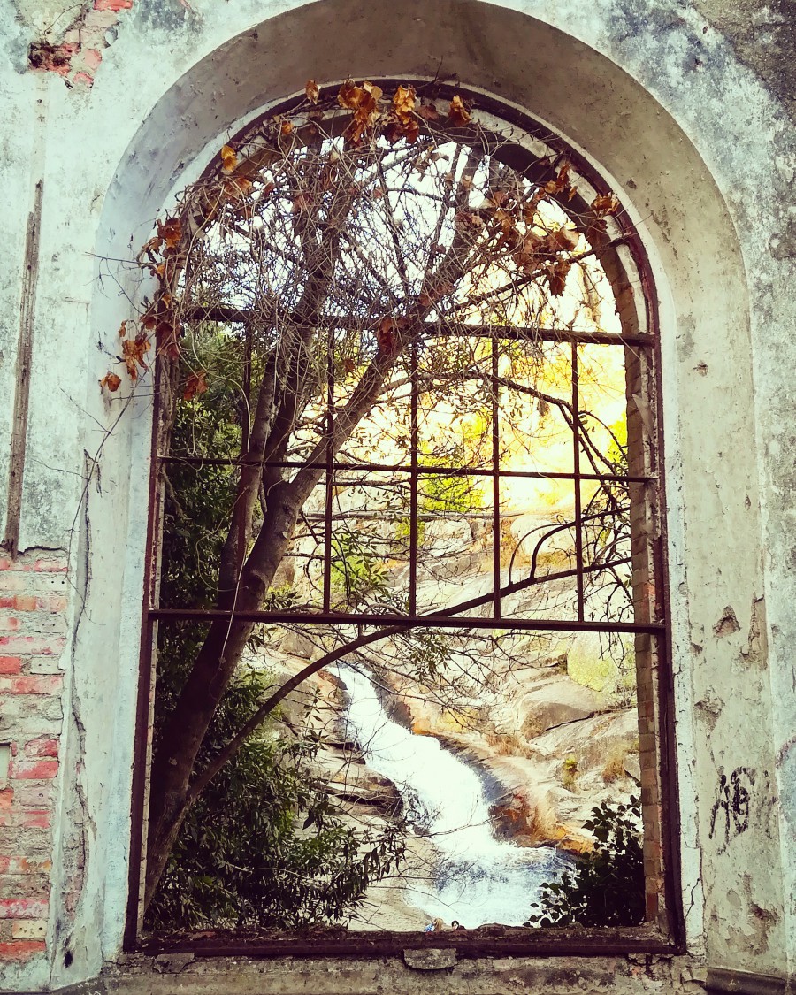 Ventanas a la naturaleza. 