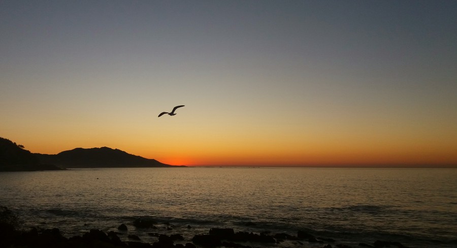 Buenavista desde Baiona