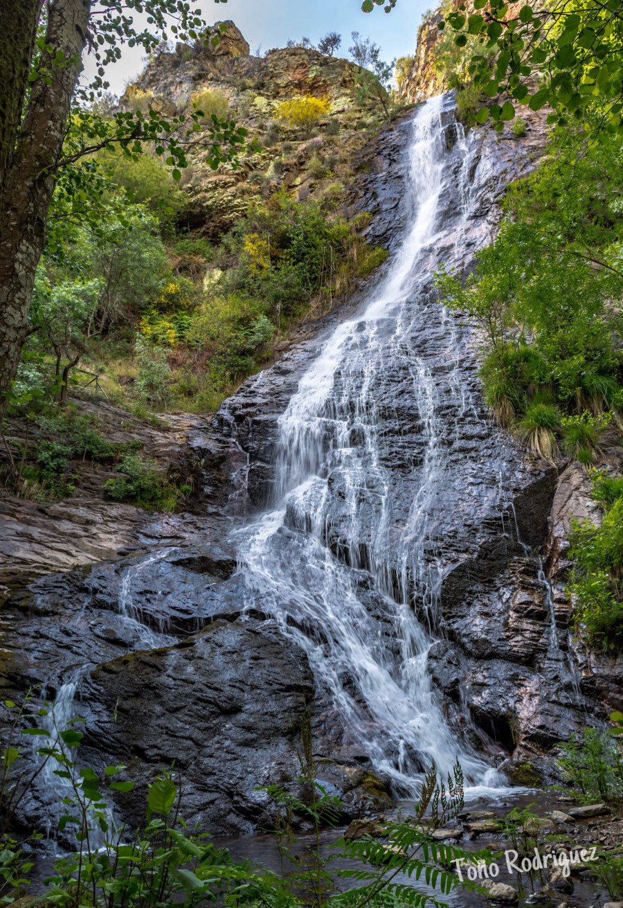 “Fervenza da cidadela”