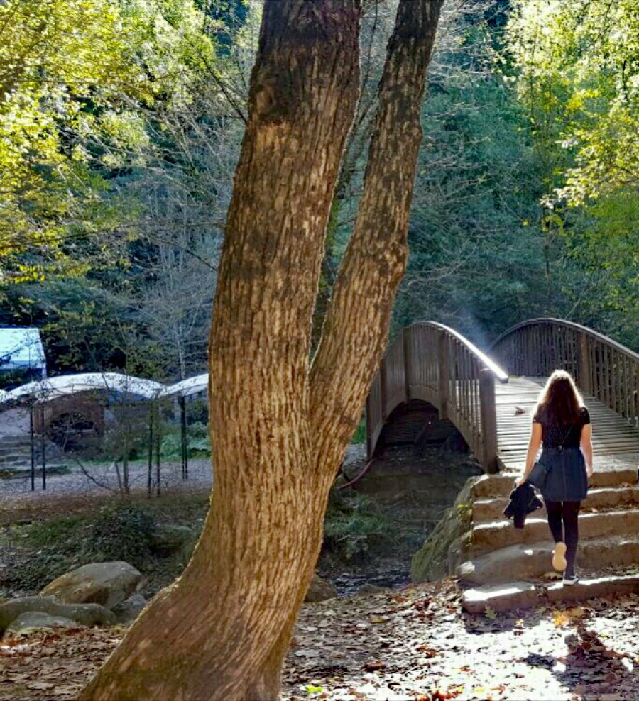 Parque da Natureza do Río Barosa