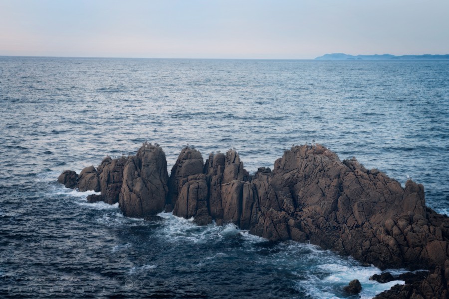 La roca de las gaviotas