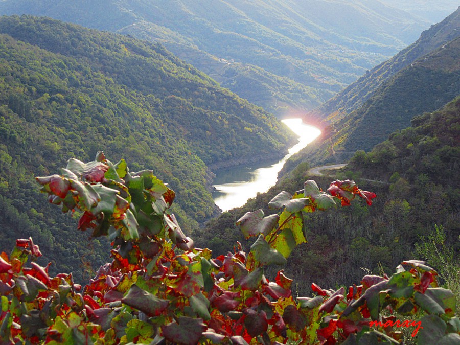 miradores de la ribeira sacra