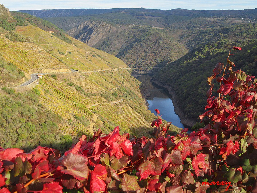miradores de la ribeira sacra