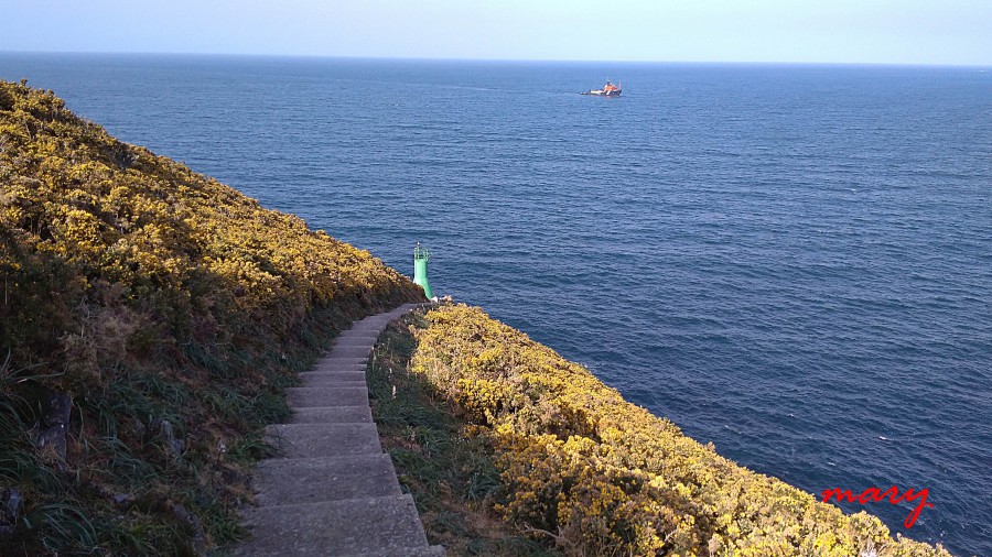 punta fuciño do porco