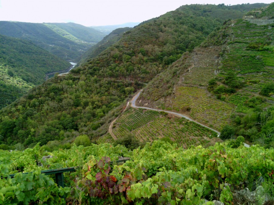 Ribeira Sacra. 