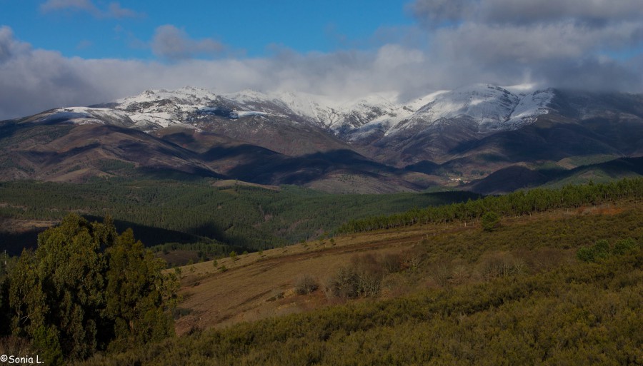 Mi Ventana