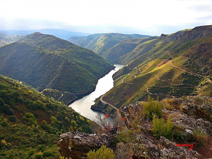 ribeira sacra