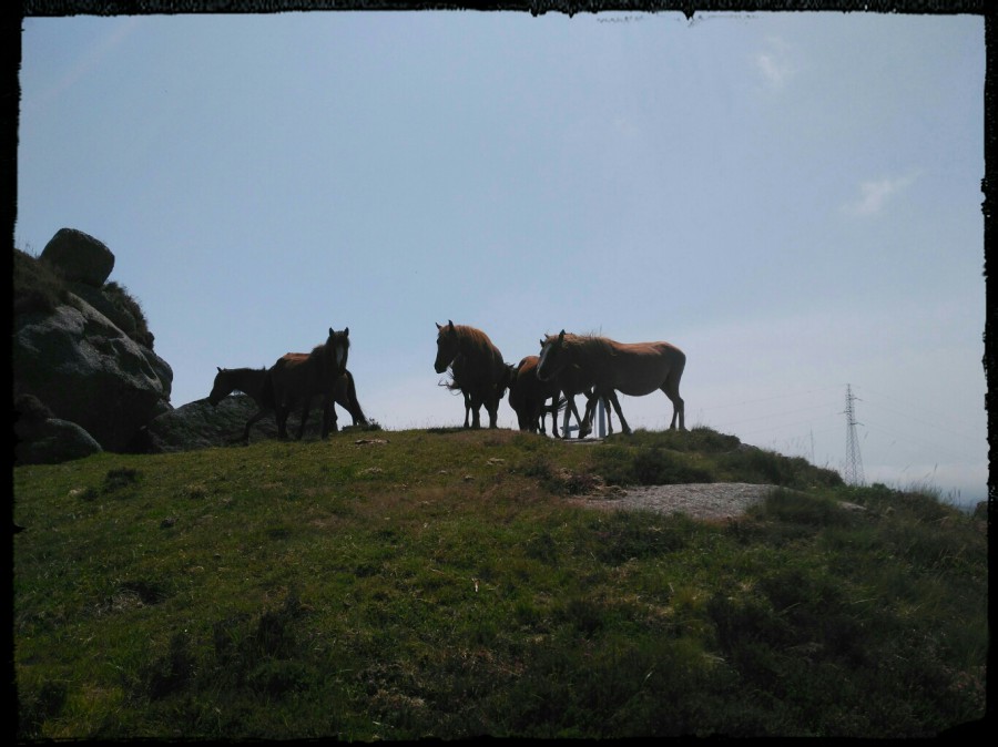 Serra do xistral