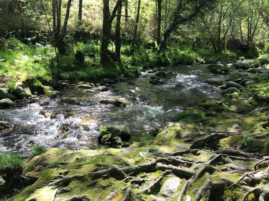 Río prexigueiro...Ribadavia