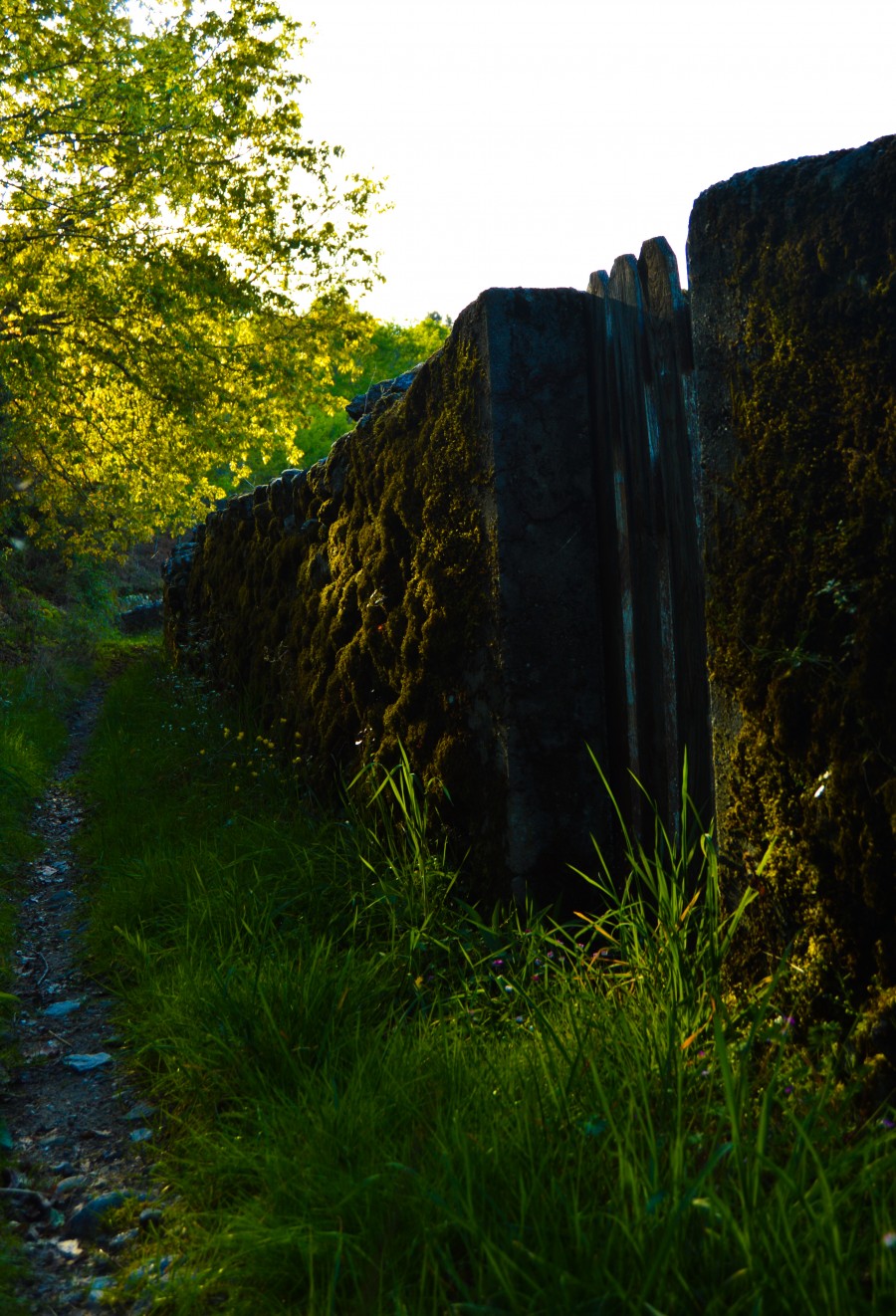 Sendeiros outonales da Ribeira Sacra