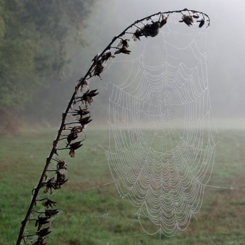 Galicia dende outro punto de vista