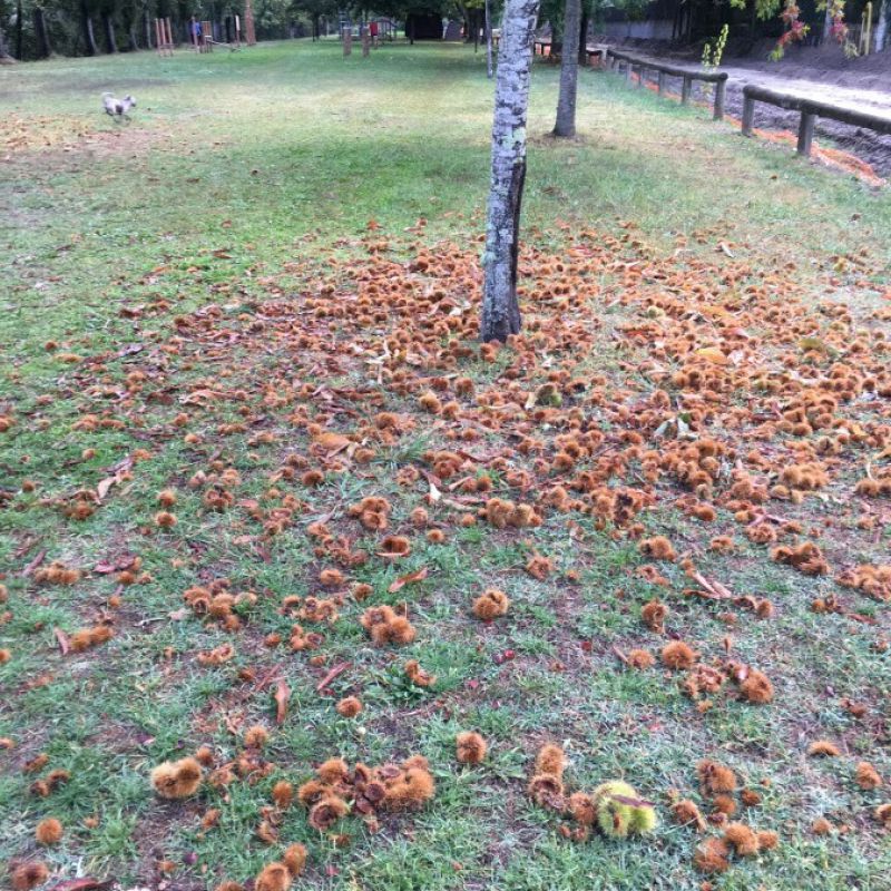 A cultura máis riquiña do mundo