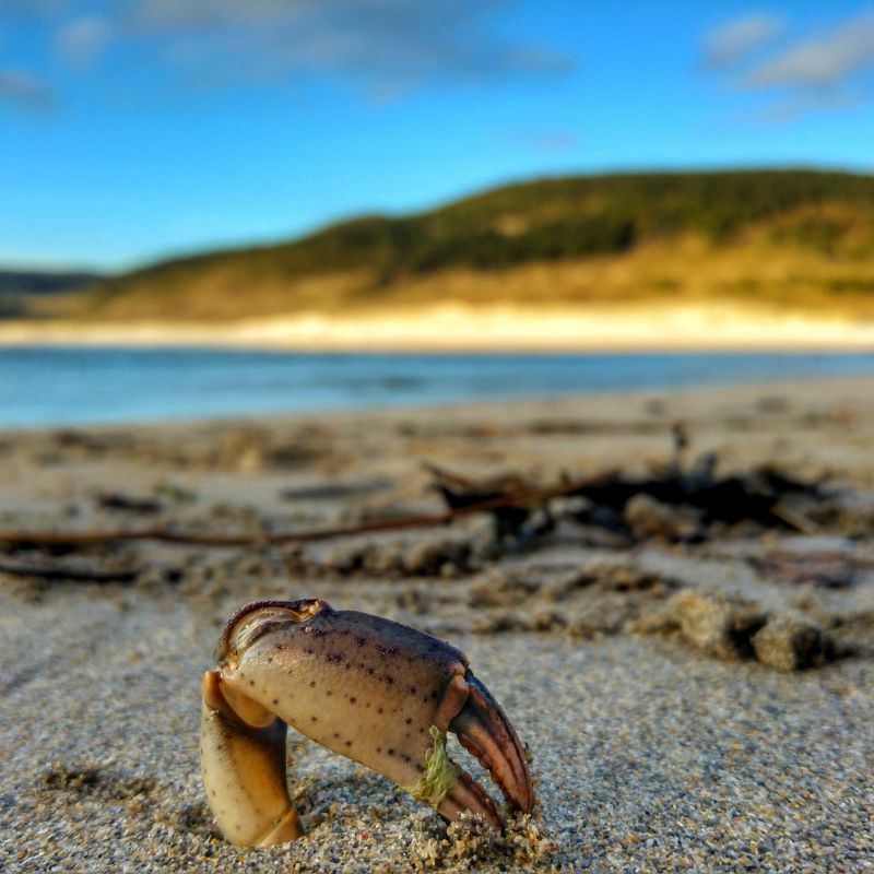 Praias para soñar