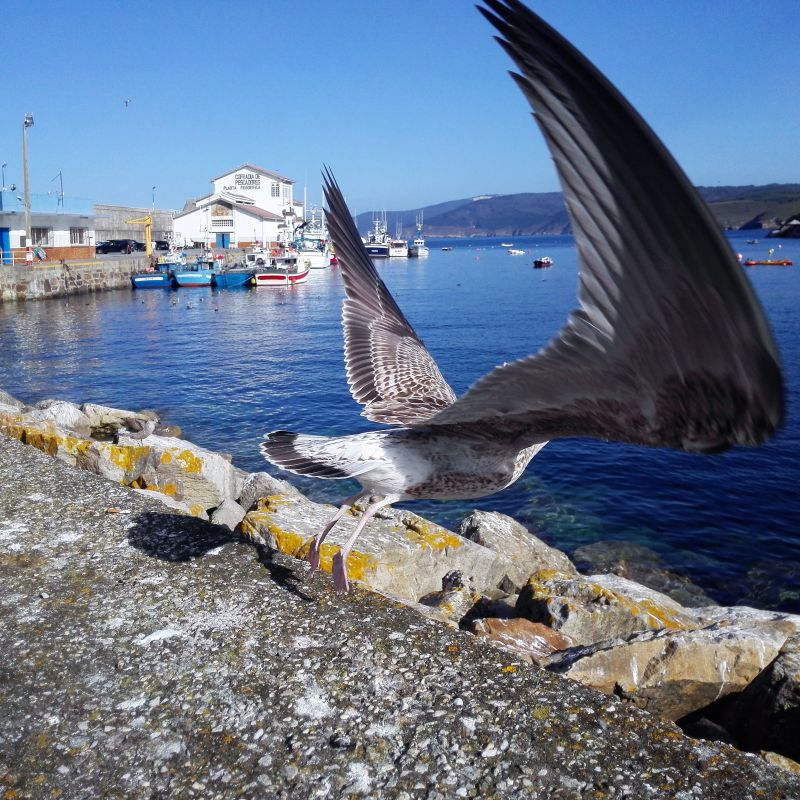 Galicia desde otro punto de vista
