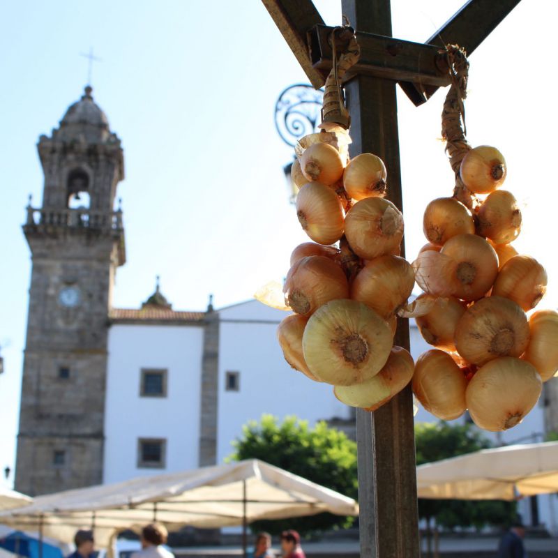 Galicia dende outro punto de vista