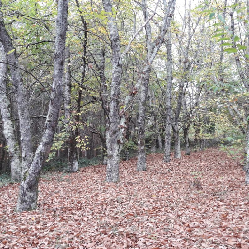 Lugares para perderse