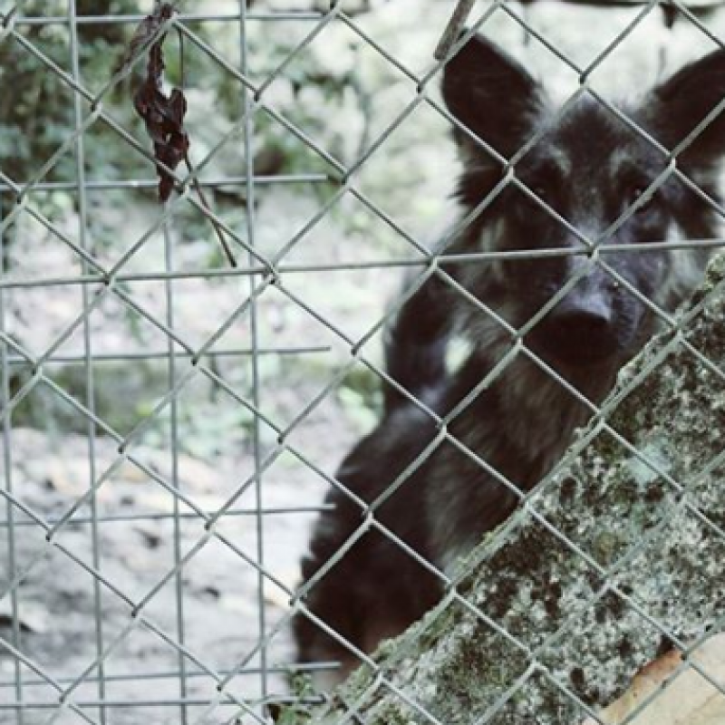 A cultura máis riquiña do mundo