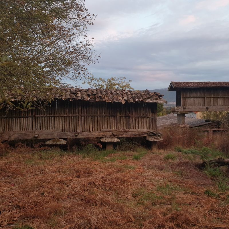 A cultura máis riquiña do mundo