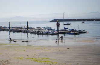 Mujer mariscando 