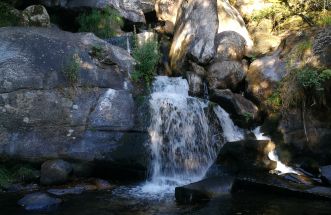 Fervenzas barosa