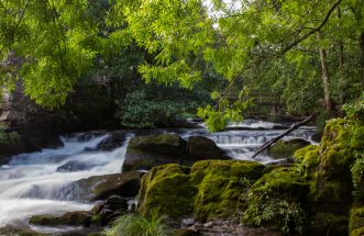 Refugio de Verdes