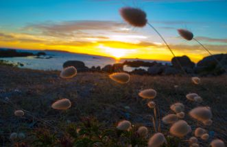 atardeceres maxicos