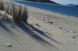 Praia de Aguieira