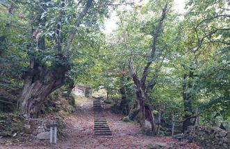 Otoño en la Ribeira Sacra