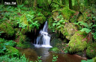 en  plena  naturaleza