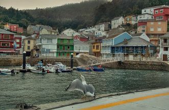 Porto do Barqueiro - A Coruña.