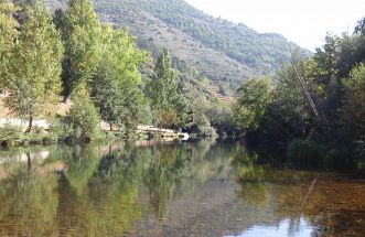 Reflejos en las aguas del Rio Bibey