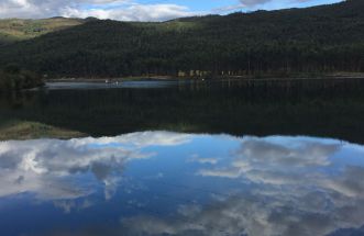 Reflexos