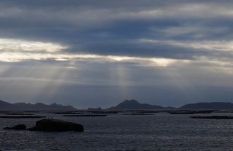 Cies con nubes