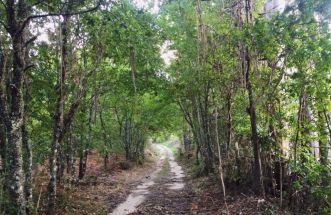 Caminos para perderse