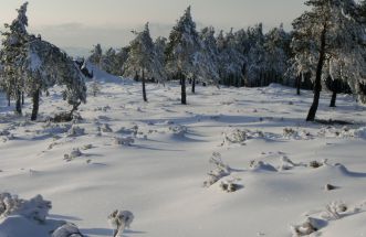 LA MANTA BLANCA