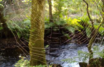 Arte en la naturaleza