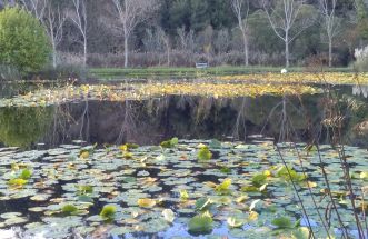 lago pazo do tambre