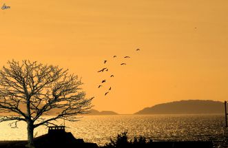 Puesta de sol en la Ria