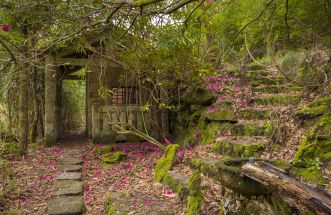 bosque encantado