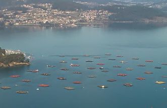 ENSENADA DE SAN SIMON . RIA DE VIGO